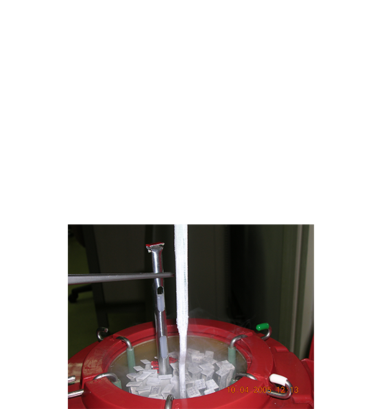 1998 세계 최초 그리드 사용한 인간 난자의 유리화 동결 보존법 개발